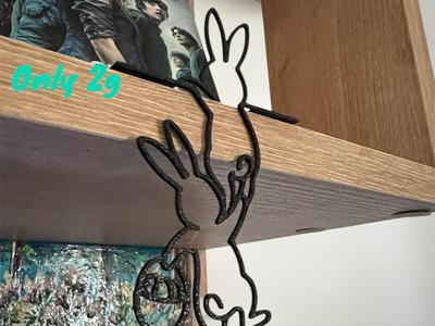 An Hanging Bunny Duo 