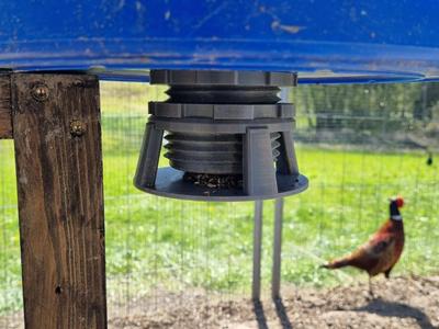 Chicken, Pheasant and other Poultry Feeder
