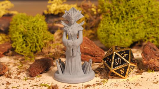 Head Enchantress - Tabletop Miniature