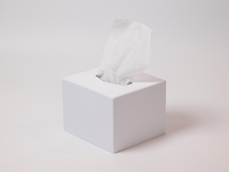 Kimwipes S-200 Dispenser Case