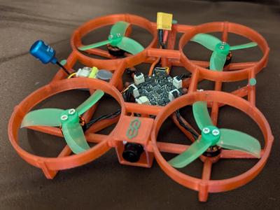 Secret Squirrel 2" Ducted Drone Frame