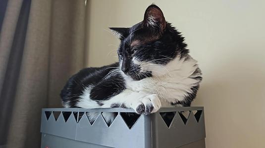 NR200P Cat Roost (Save Your Airflow!)