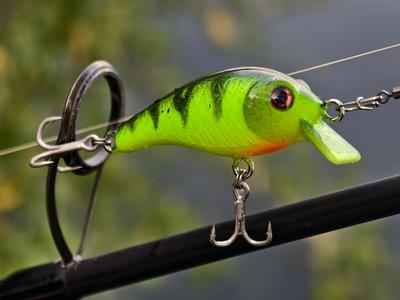 Print->Knot->Fish! Easiest Crankbait fishing lure