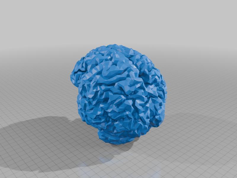 Polygon Brain