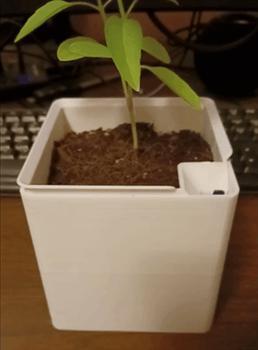 Overdesigned self watering plant pot with wick attachment