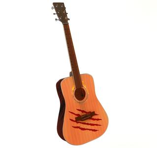 Special Acoustic Guitar