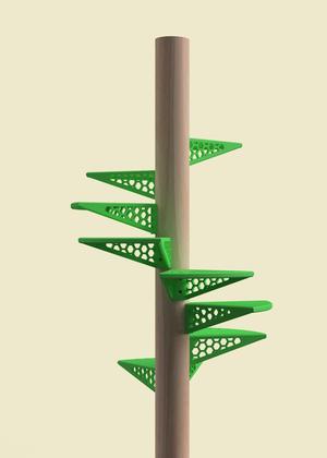 Cats spiral staircase