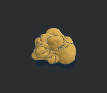 3D European White Truffle STL OBJ FBX Model for Miniatures