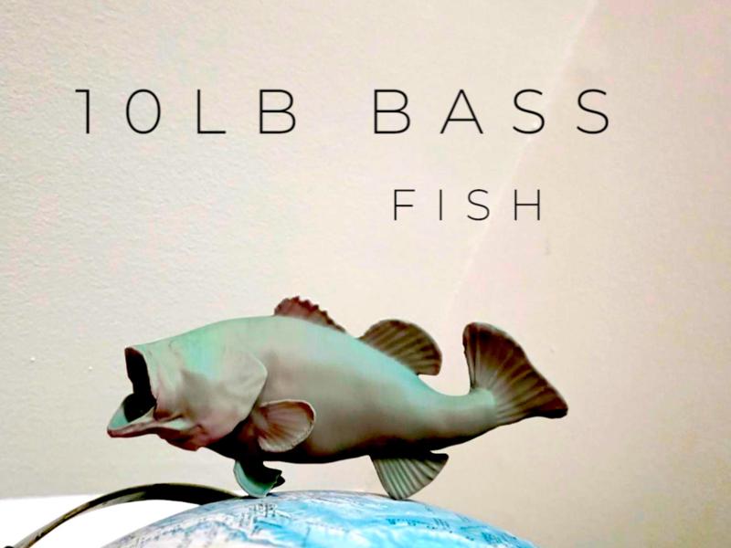 10LB Bass 