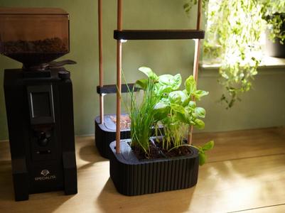 Smart Indoor Mini Herb Garden with LED Lighting