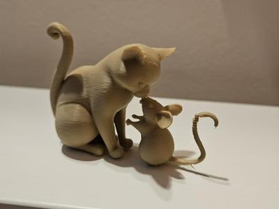 Cat and mouse