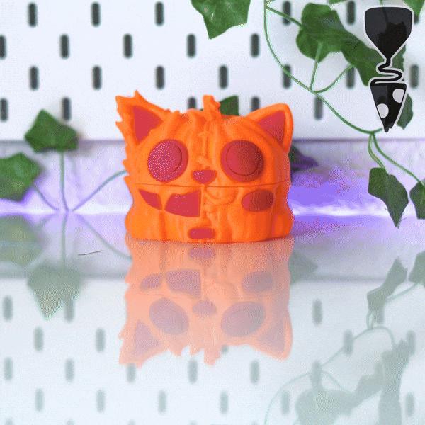 🐱Demon Pumpkin Cat Secret Box🎃