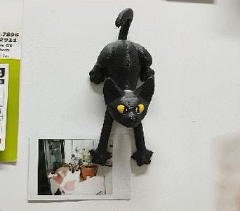 Cat Hold Magnet