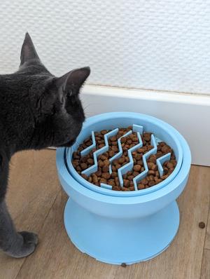 Cat booster seat and anti-slobber bowl