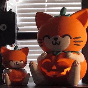 Pumpkin Cat (or Cat-Pumpkin maybe?) for Halloween
