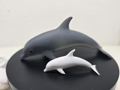 Dolphin