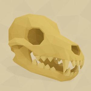 Dog Skull Low Poly
