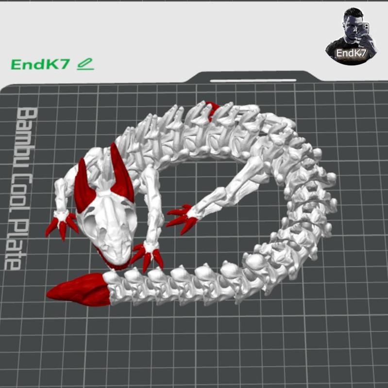 Skeleton Dragon – Articulated – Print in Place – No Supports – Flexi – Multicolor
