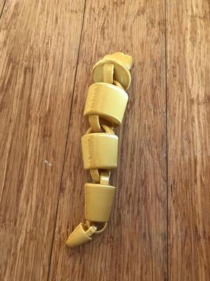 Flexi toy carrot
