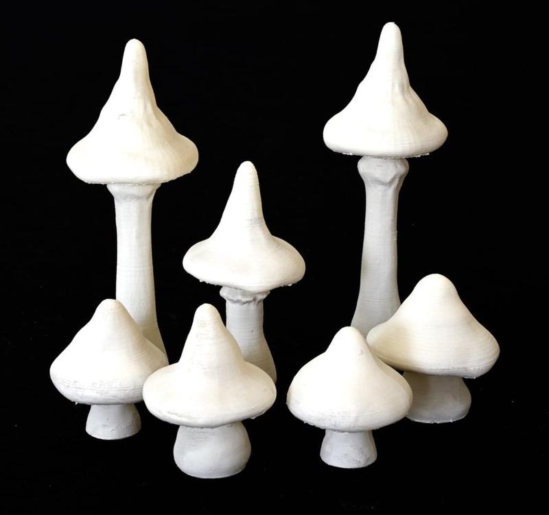 Ubiquitous Mushroom Set 1