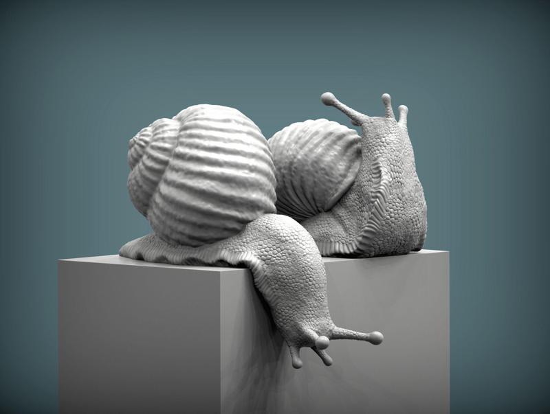 Snail two snails