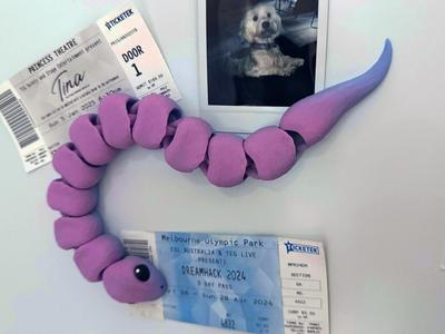 Magnetic Articulated Snake – Fridge Friend!