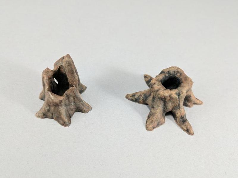 Tree stumps scatter terrain