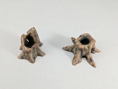 Tree stumps scatter terrain