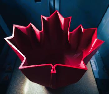 Maple Leaf Planter Vertical
