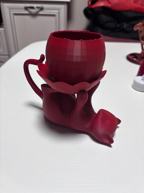 Cat holding a bowl