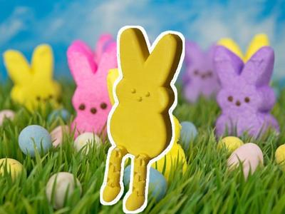 peep buddy!