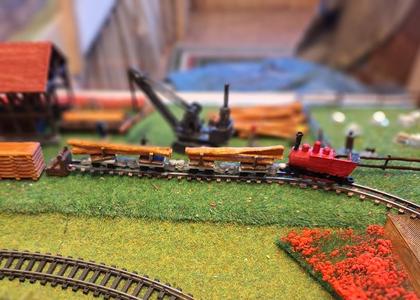 N-scale field train for scenery Ne
