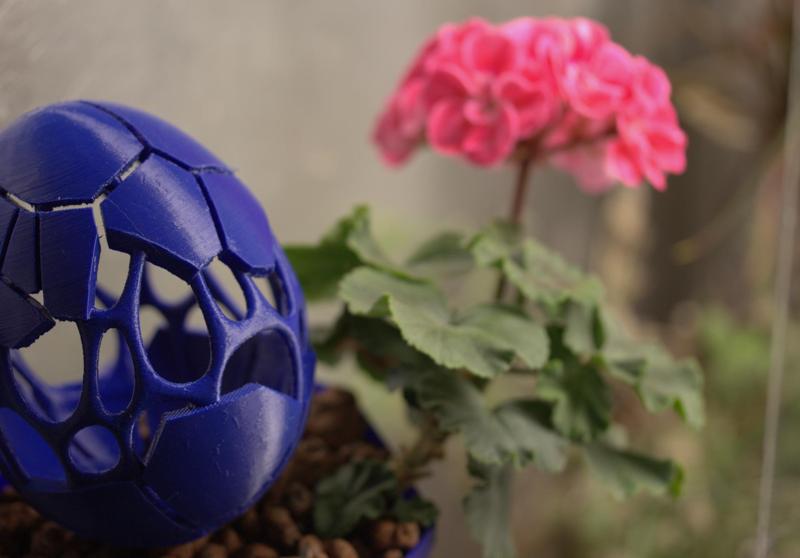 "Ovum Fractum" - Decorative Egg