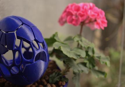 "Ovum Fractum" - Decorative Egg