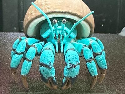 Tahitian Coconut Crab