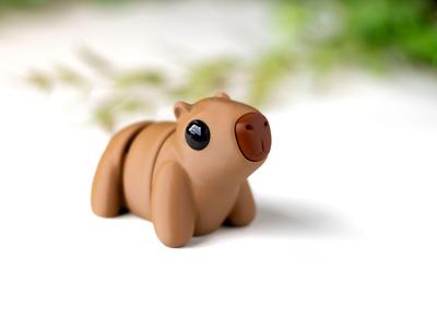 Baby Capybara