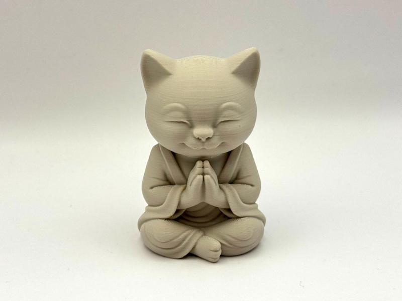 Zen Cat Meditating Monk
