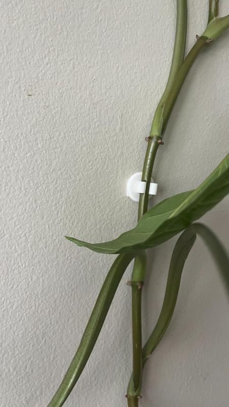 Plant Wall Clips
