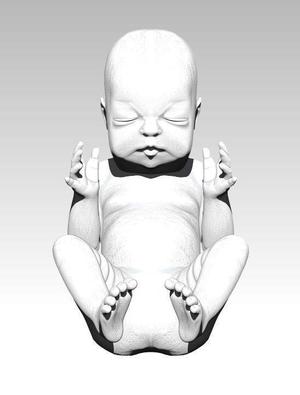 Baby solid model