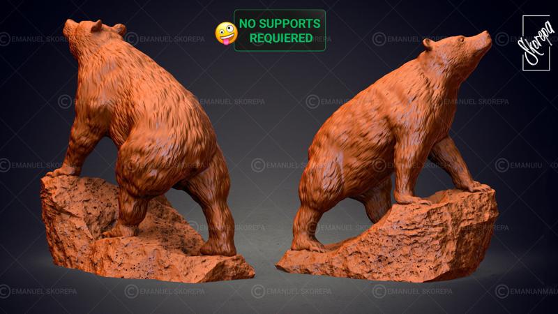 BEAR - WITHOUT SUPPORTS