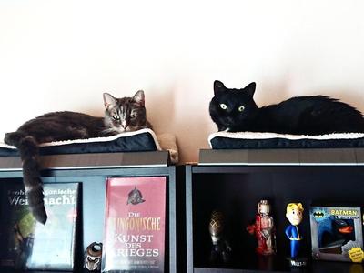 Border for IKEA FINNBY shelve