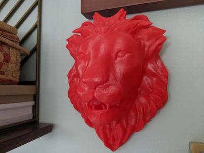 Lion   