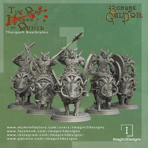 Thorgash Boarbrutes