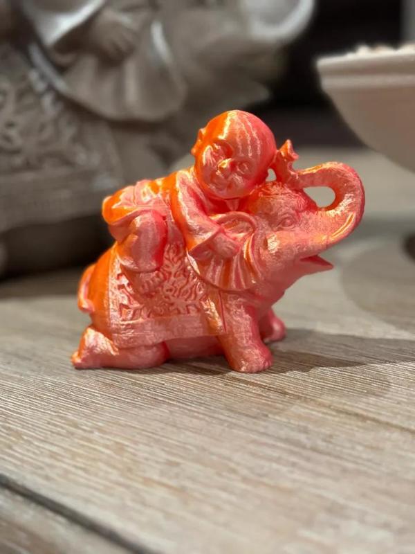 Shaolin Monk on a Elephant   