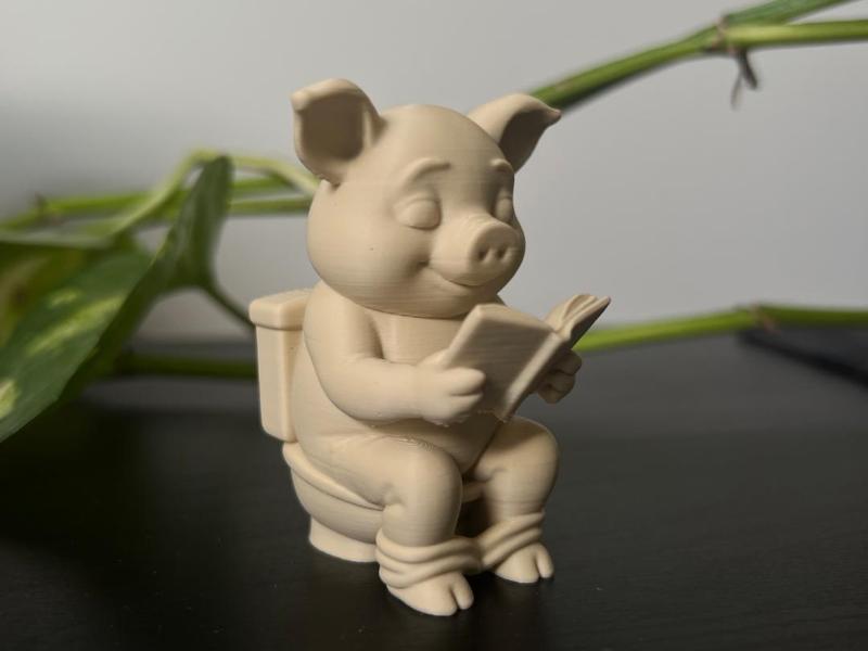 Toilet Pig - Figurine