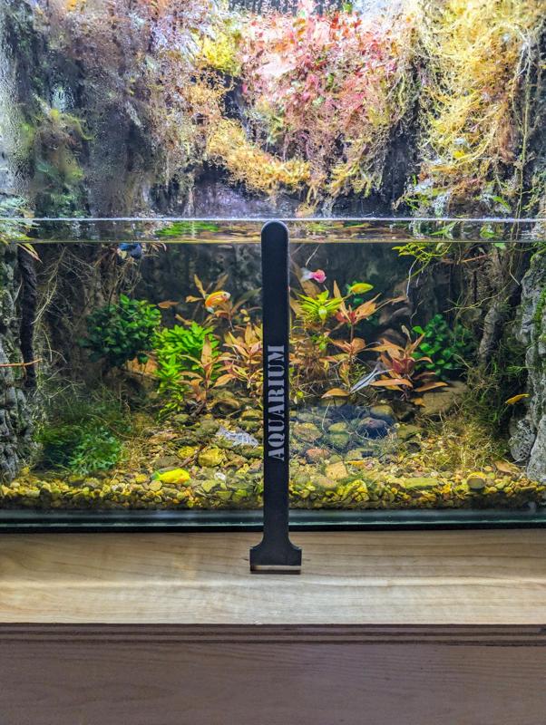 10" Aquarium Glass Scraper