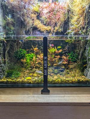 10" Aquarium Glass Scraper