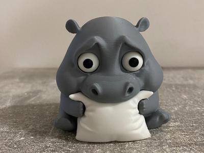 Sad little Baby Hippo