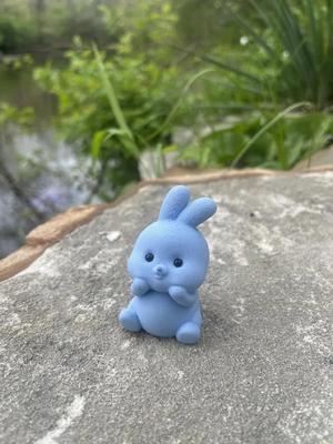 Squishy Bunny   