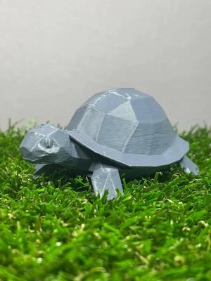 Low poly Turtle   